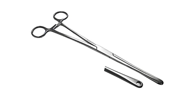 FORESTER ANILLO PEQUEÑO PINZA RECTA 24CM 5-48